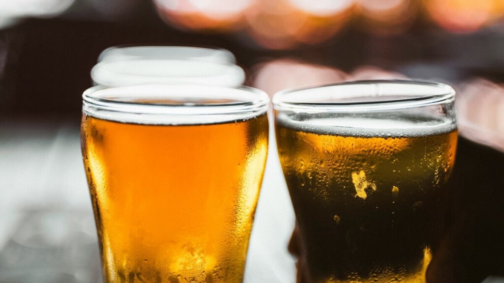 한끼 식사와 어울리는 맥주 이야기, 완벽한 맛 조합 노하우